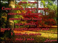 /album/fotogaleria/como-sabria-jpg/